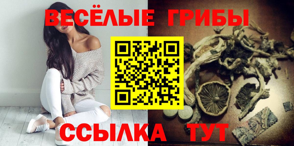 Губаха  где продают наркотики  Вход с VPN  Псилоцибиновые грибы Magic Shrooms 