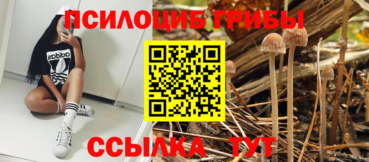 Галлюциногенные грибы MAGIC MUSHROOMS Губаха